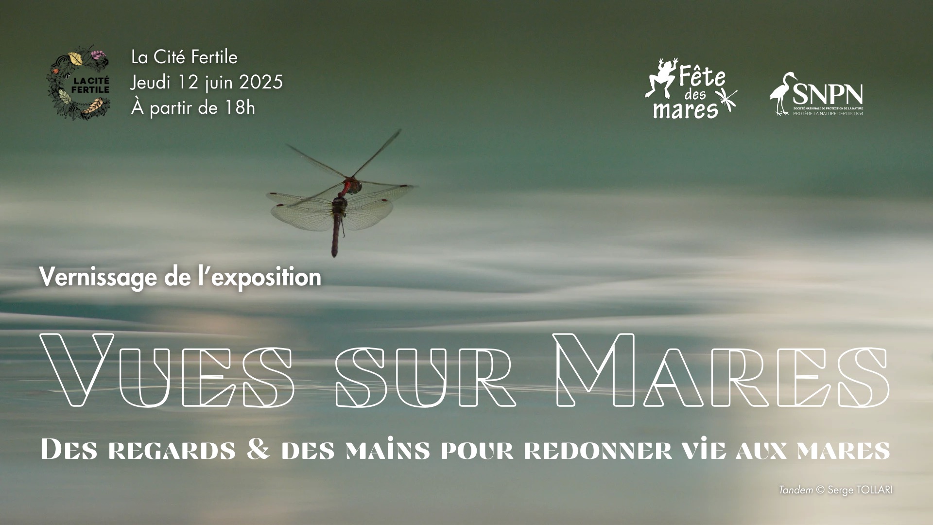 Vernissage de l'exposition : vues sur mares