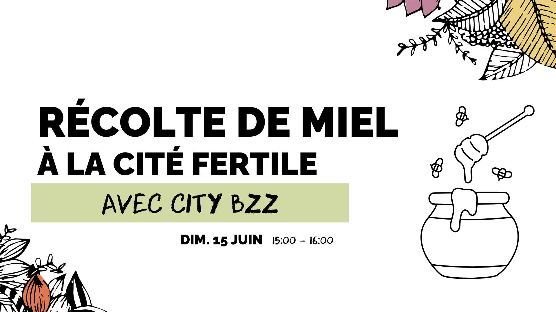 Récolte de miel à la Cité Fertile