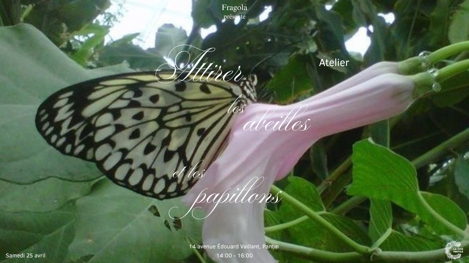 Atelier : attirer les abeilles et les papillons