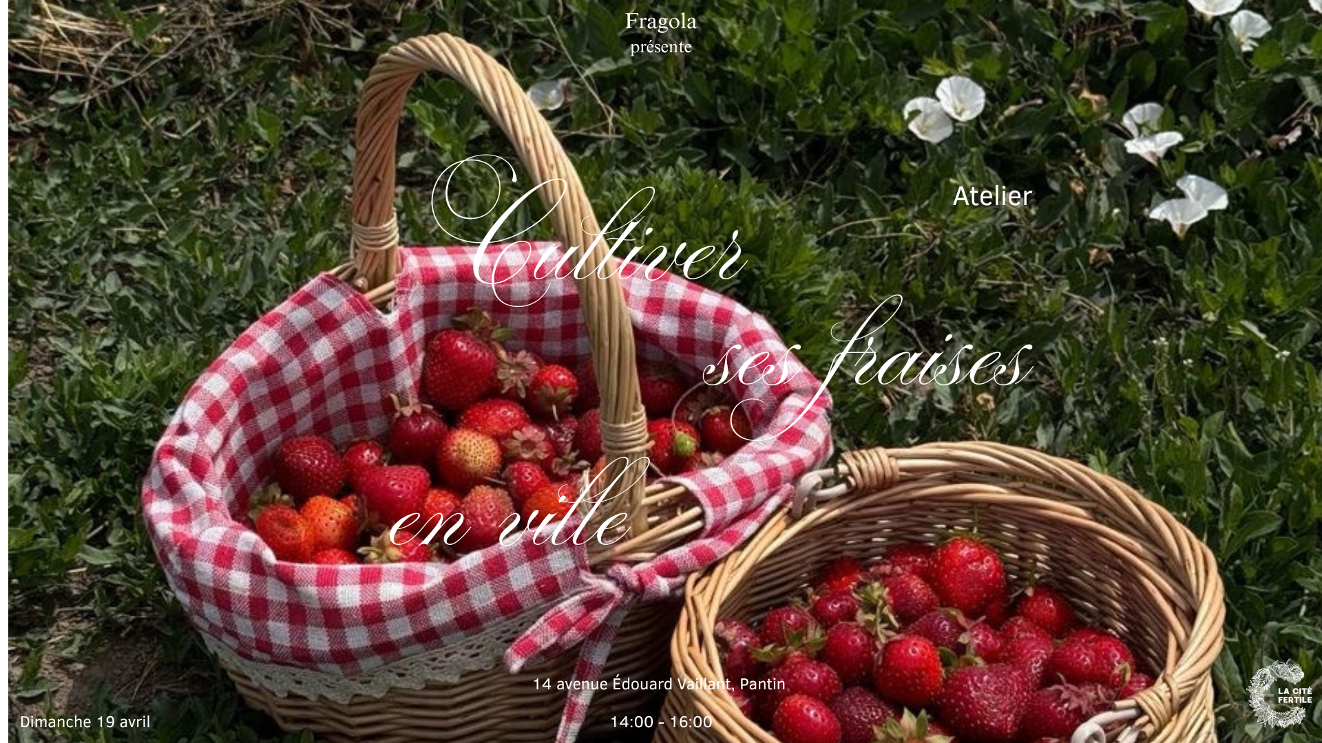 Atelier : cultiver ses fraises en ville