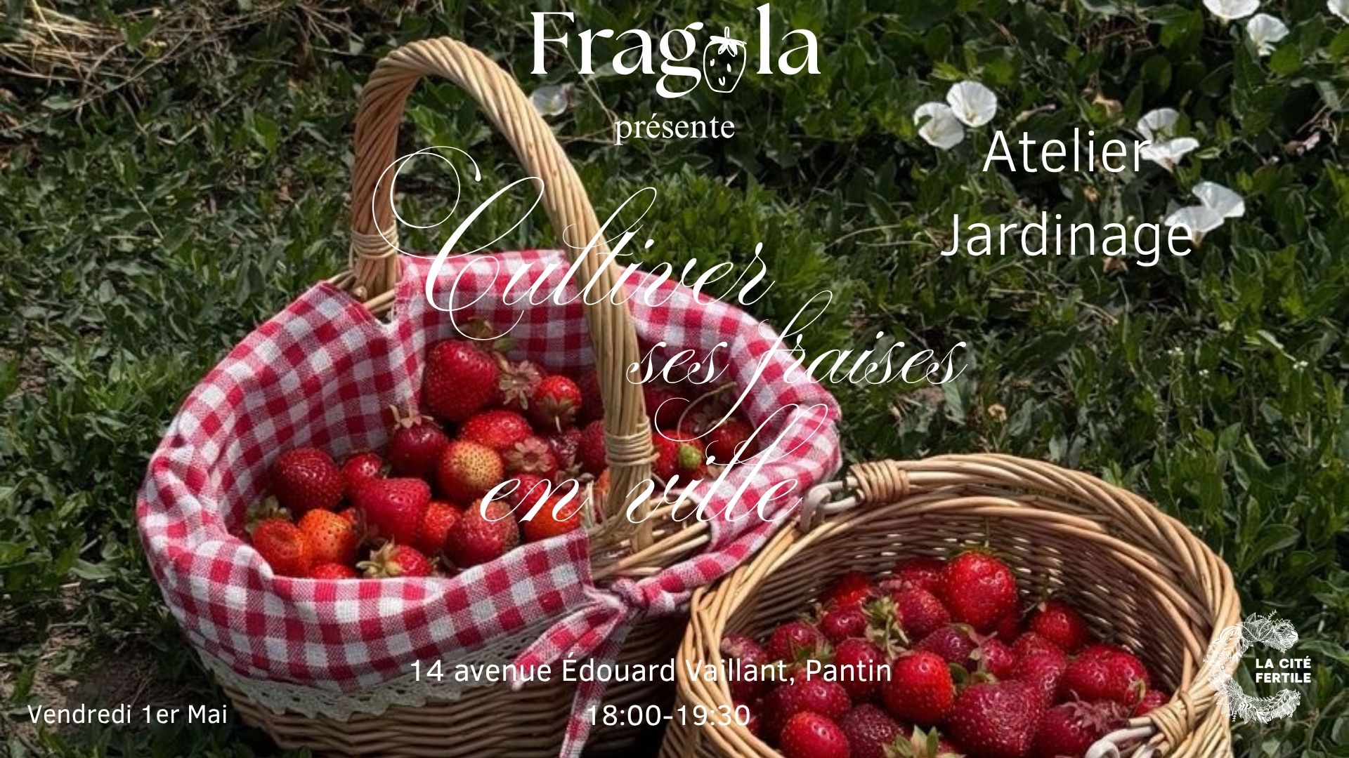 Atelier : cultiver ses fraises en ville