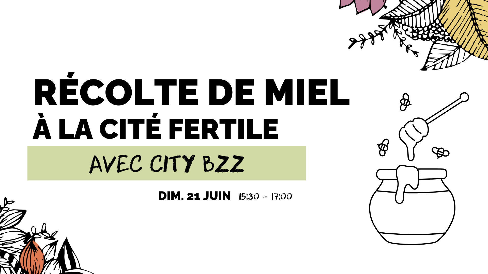 Récolte de miel à la Cité Fertile