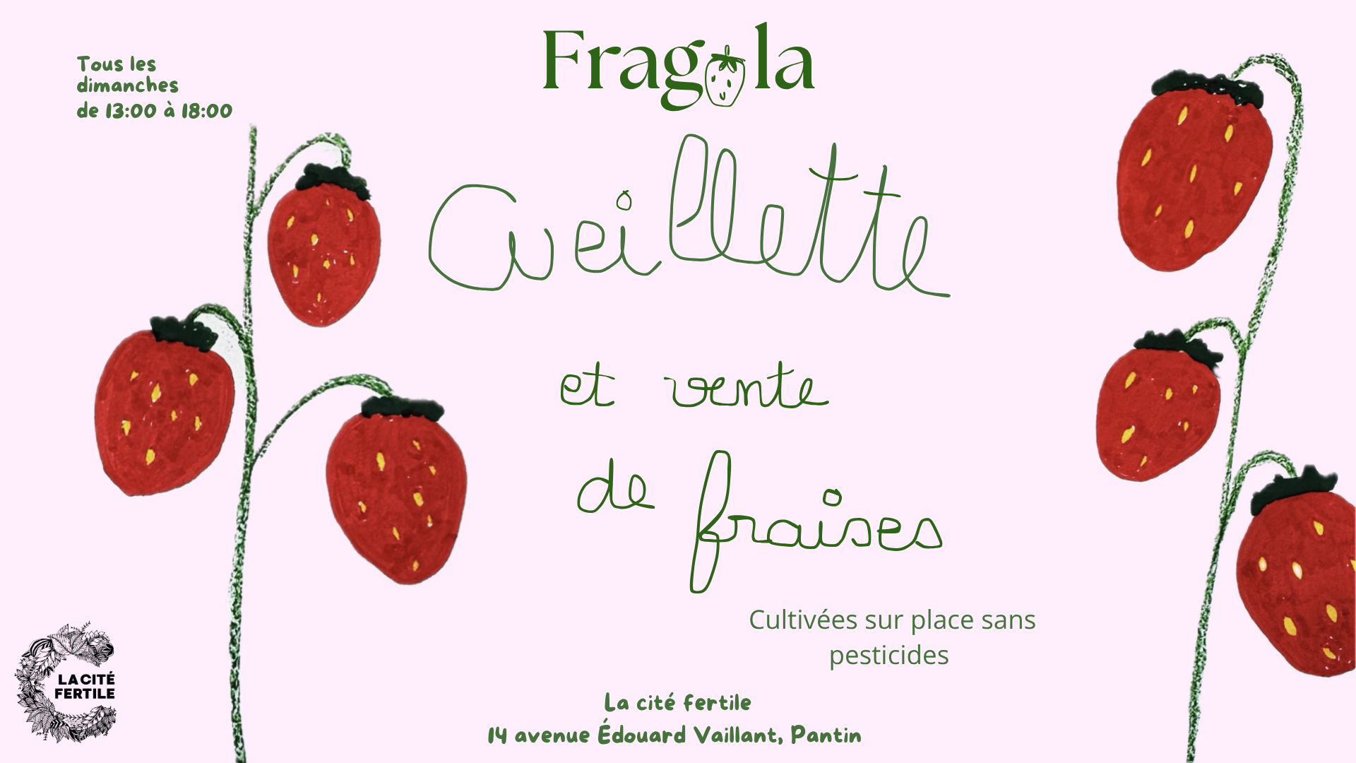 Cueillette et vente de fraises à la ferme
