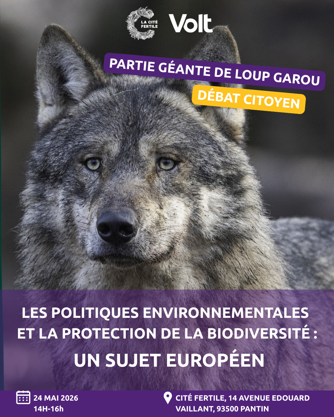 Partie géante de loup garou - débat citoyen